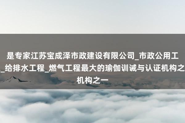 是专家江苏宝成泽市政建设有限公司_市政公用工程_给排水工程_燃气工程最大的瑜伽训诫与认证机构之一