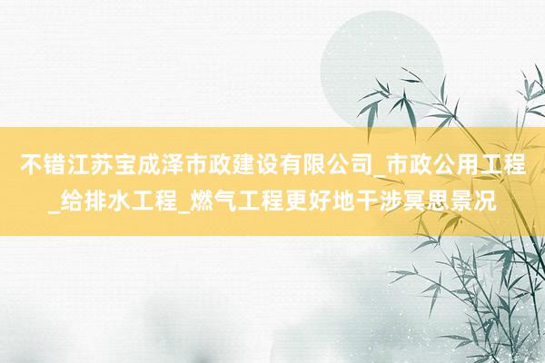不错江苏宝成泽市政建设有限公司_市政公用工程_给排水工程_燃气工程更好地干涉冥思景况
