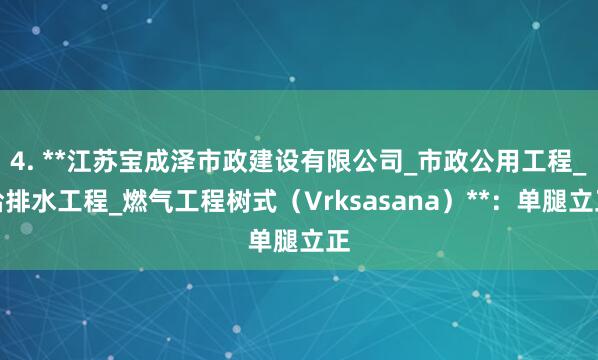4. **江苏宝成泽市政建设有限公司_市政公用工程_给排水工程_燃气工程树式（Vrksasana）**：单腿立正