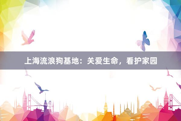 上海流浪狗基地：关爱生命，看护家园